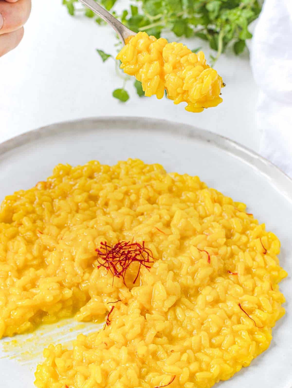 Safranrisotto mit einer Gabel