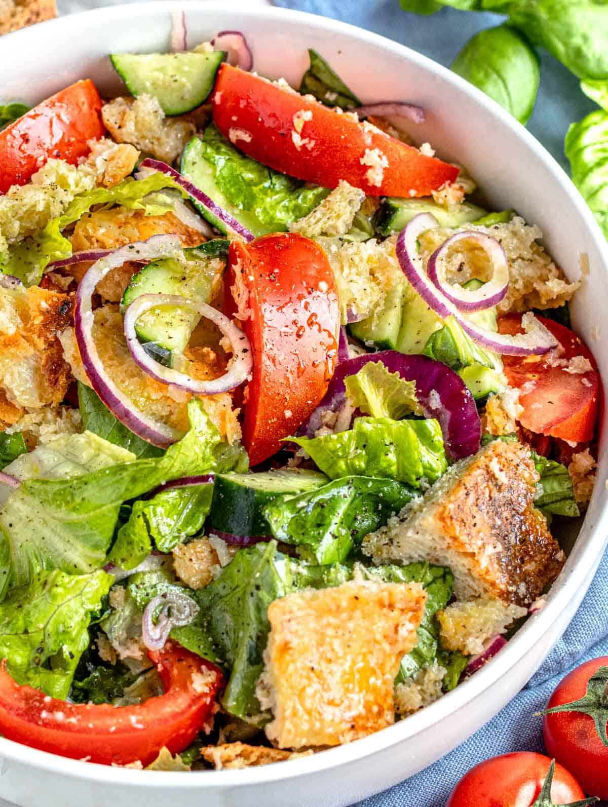 Panzanella mit altem Brot, Tomaten und roten Zwiebeln in einer weißen Schüssel