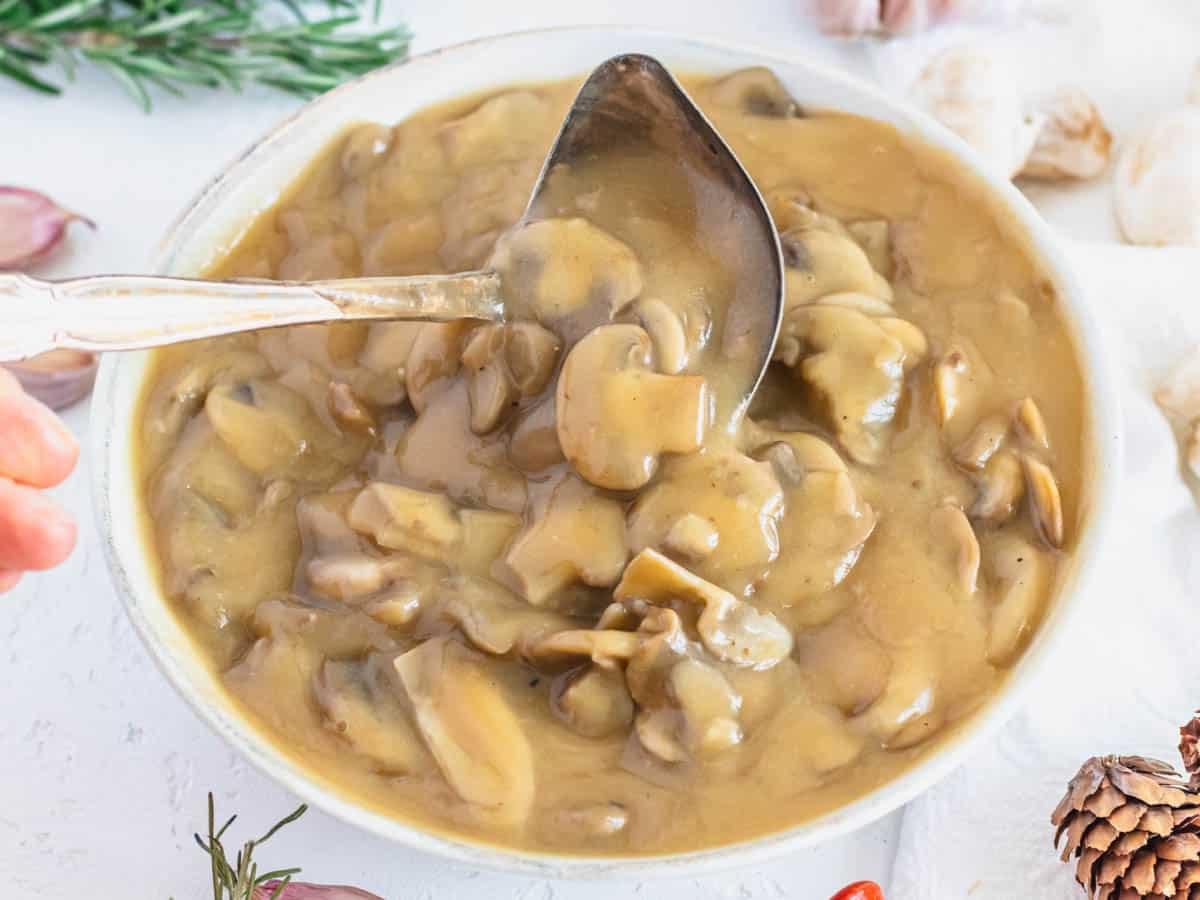 Pilz-Soße mit Knoblauch und Rosmarin als Beilage