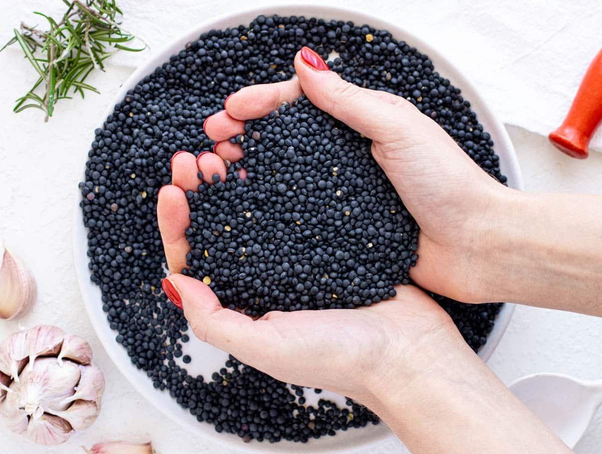 Trockene schwarze Linsen, die Louise in ihren Händen hält
