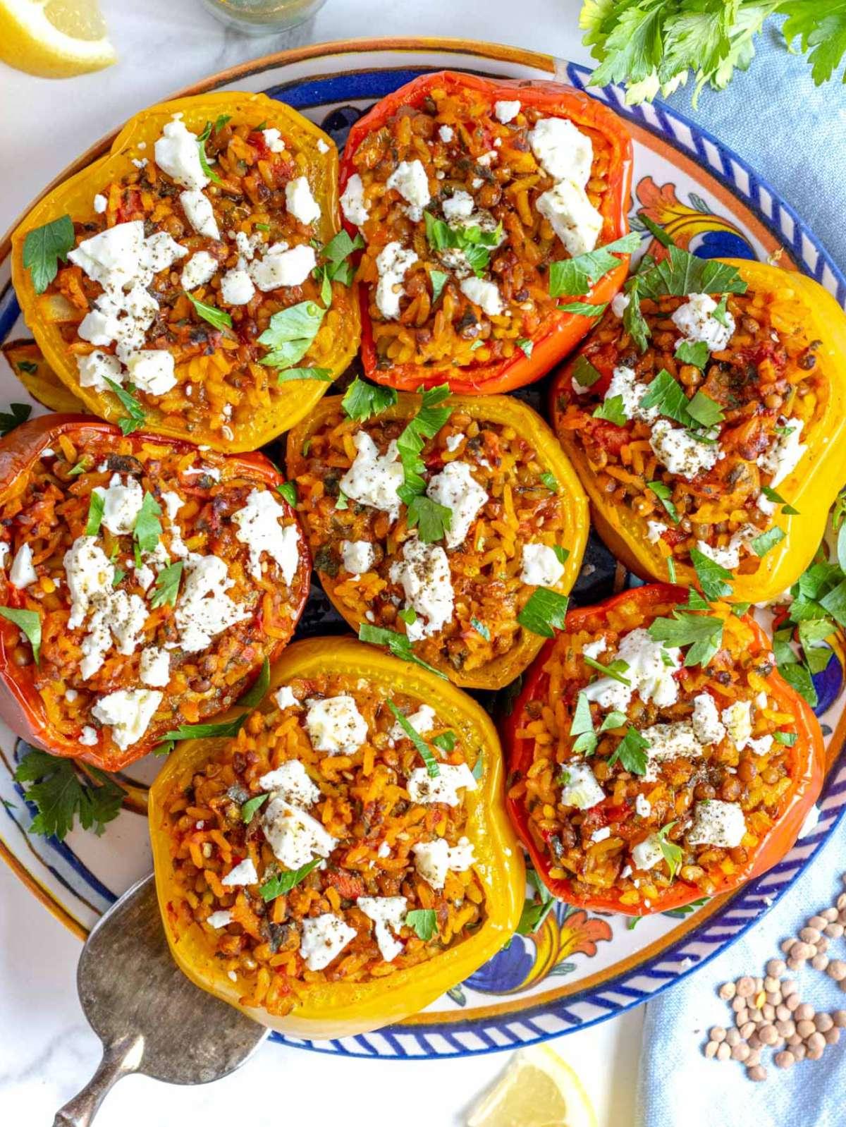 Vegetarische gefüllte Paprika mit Tomaten, Kreuzkümmel und Kräutern, ein gesundes und herzhaftes pflanzliches Abendessen von oben gesehen.