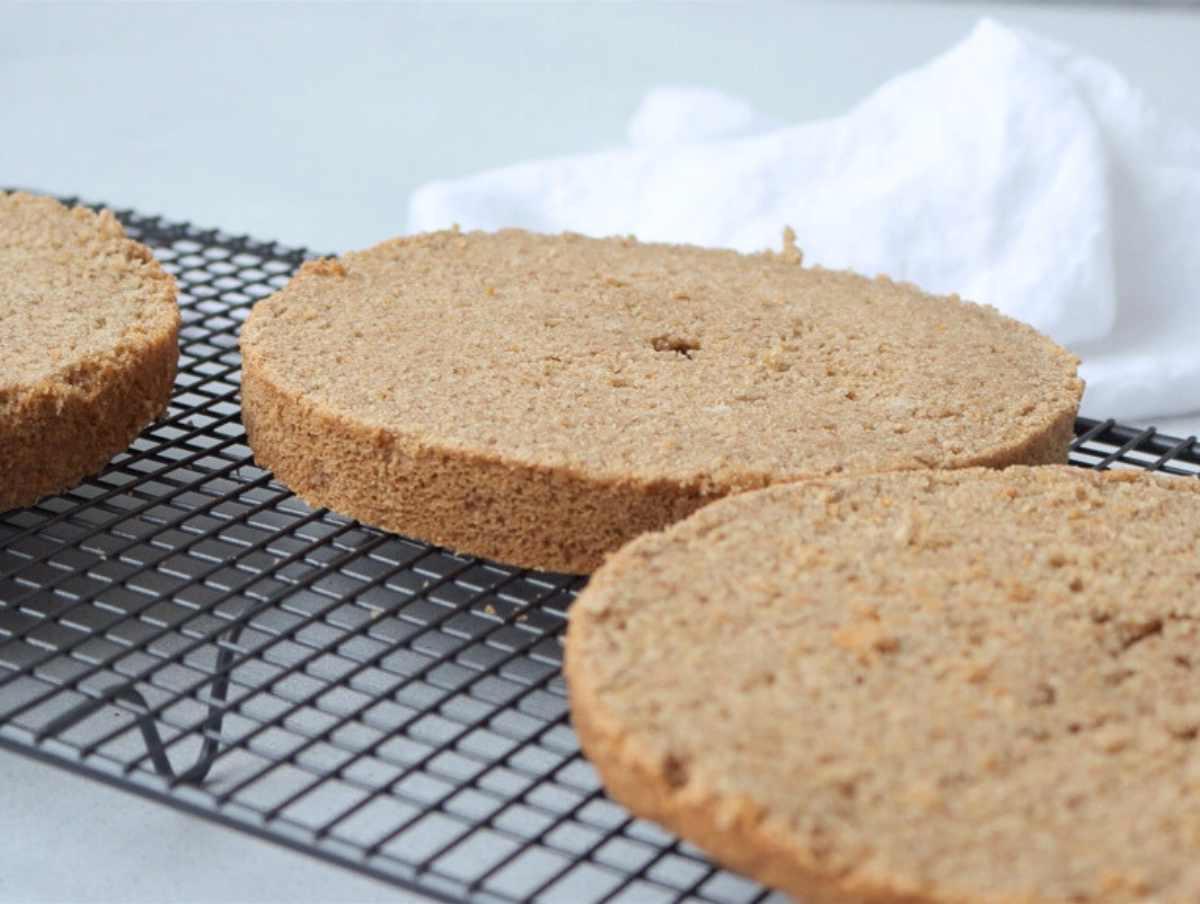 Veganer Kokoskuchen 4 Vegane Kokoskuchenschichten zum Schichten vorbereitet