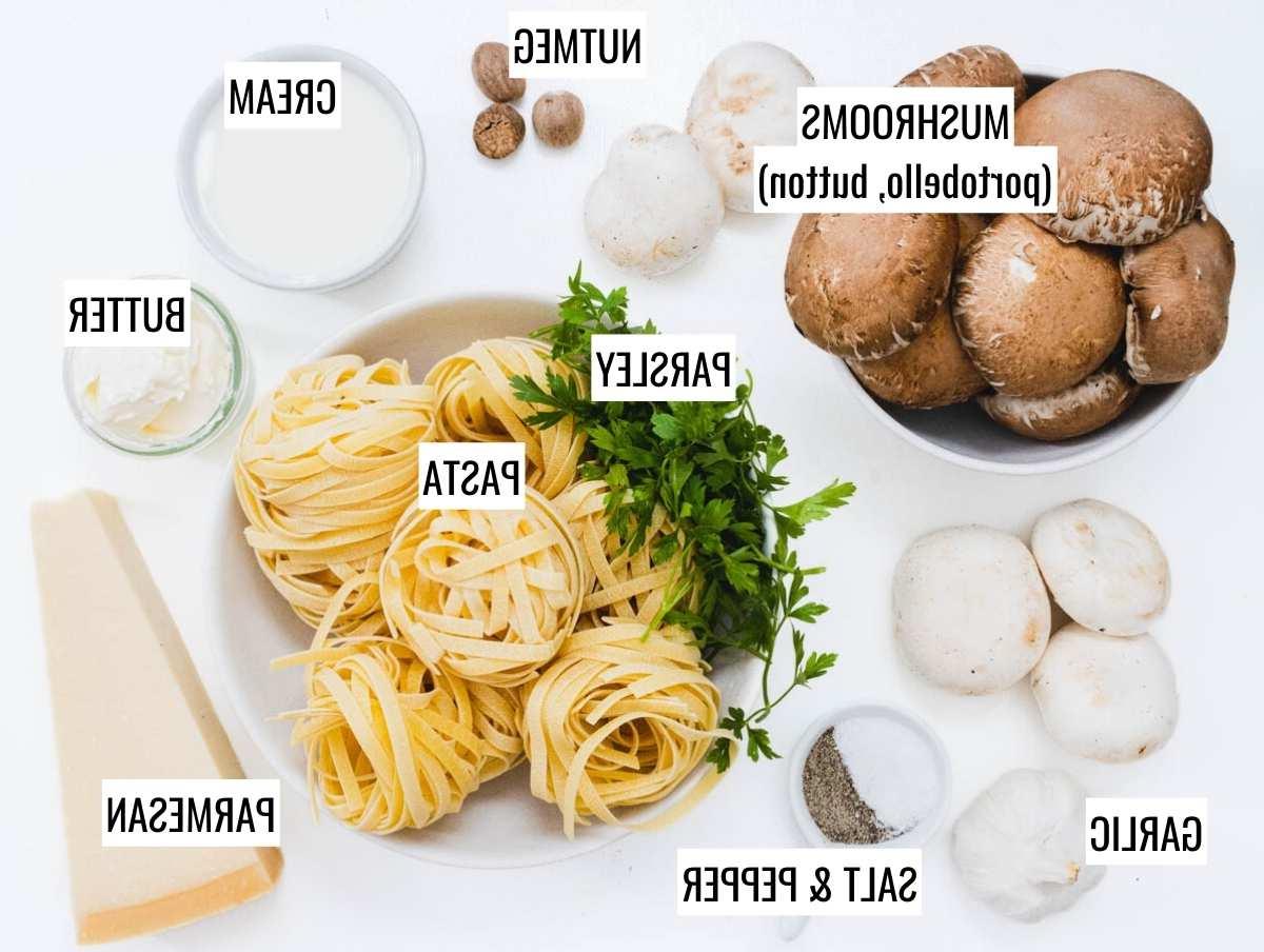 Pilz-Alfredo 5 Mushroom Alfredo ingredients