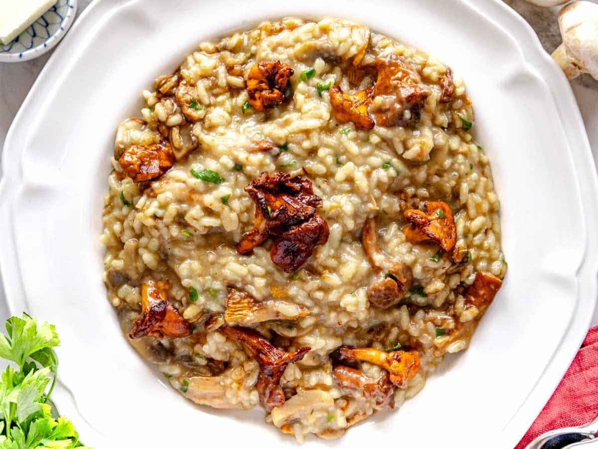 Pilzrisotto auf einem Teller ohne Belag