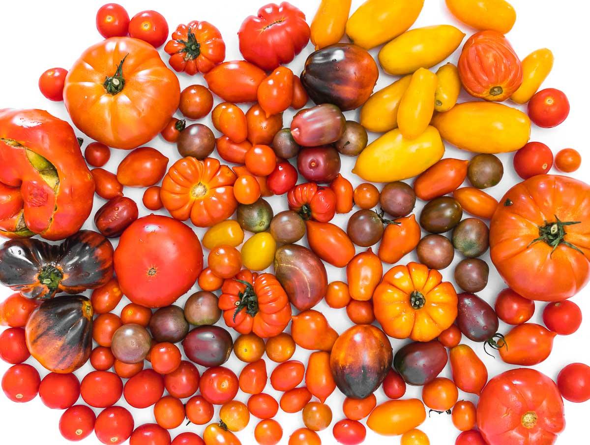 gemischte Tomatensorten