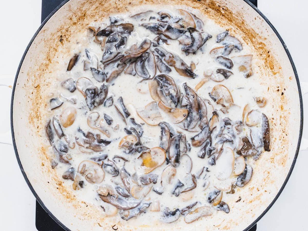 Pilz-Alfredo 9 Mushroom Alfredo sauce